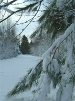 One of the many local trails in the Malagash area